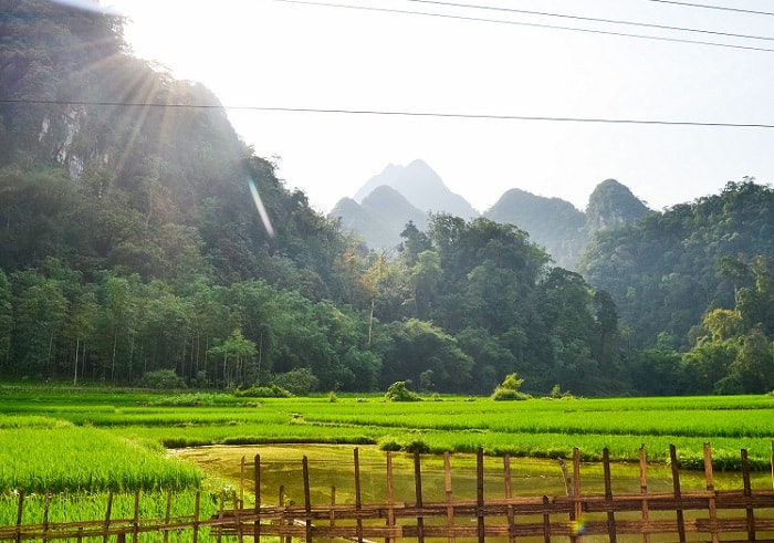 Bản Cỏi