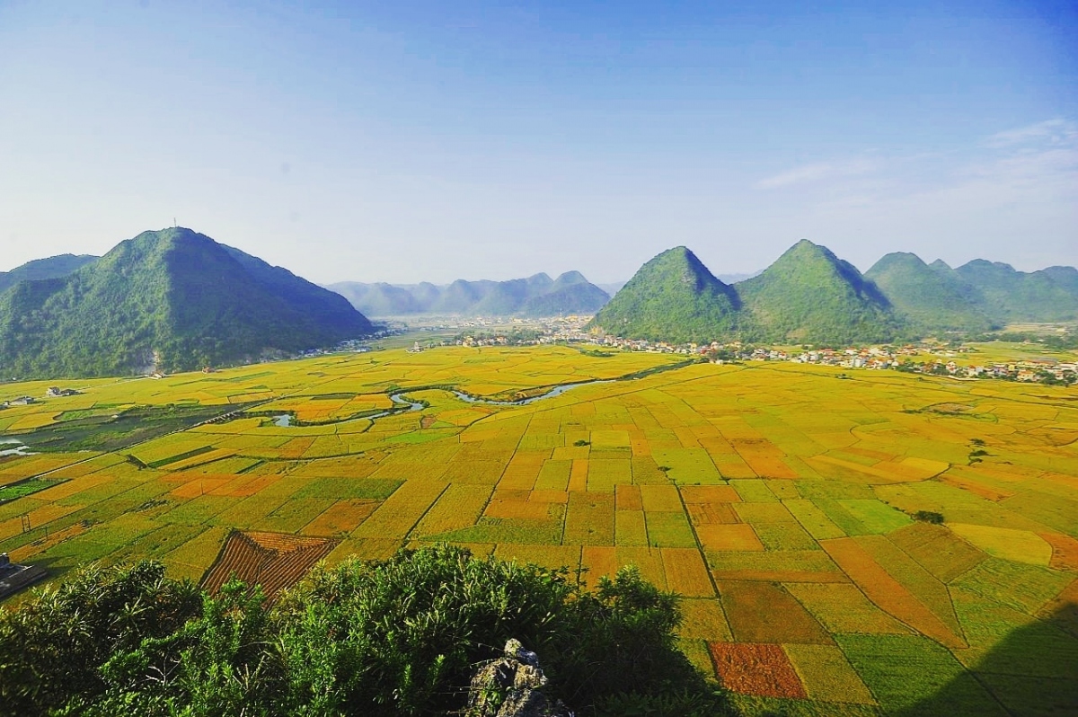 Cánh đồng Tân Sơn